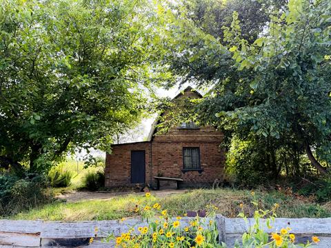 дом по адресу Николая Петровского ул.