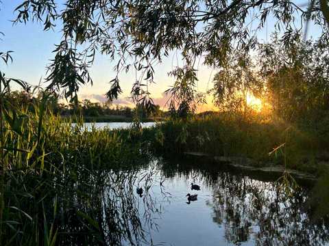 будинок за адресою Мохова вул.