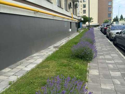 квартира по адресу Юнатская ул., 6