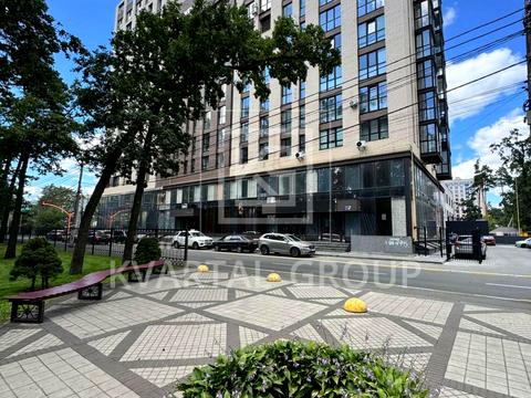 комерційна за адресою Матвія Донцова вул. (Тургенєвська), 24