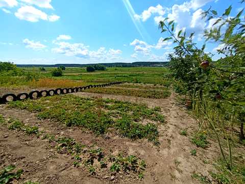 будинок за адресою с. Литвинівка, Тараса Шевченка