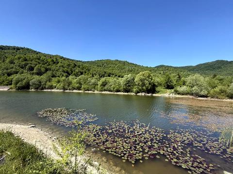 комерційна за адресою Лесі Українки вул., 30