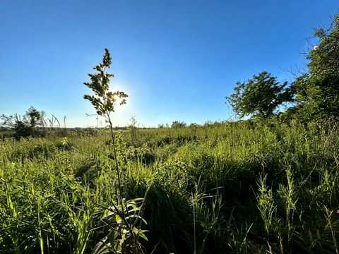 ділянка за адресою ворошилова, 21