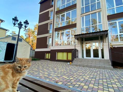 квартира по адресу Антония Михайловского ул. (Малиновського), 72-Г