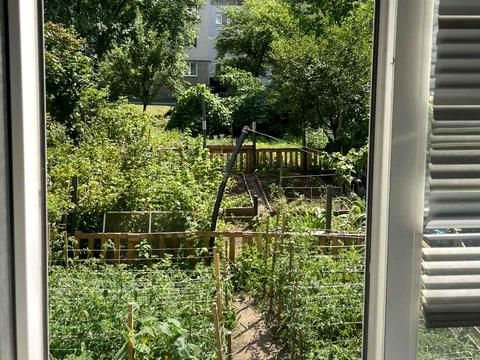 квартира за адресою Новий Світ вул., 93