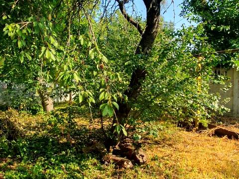 дом по адресу Аскольдова, 62