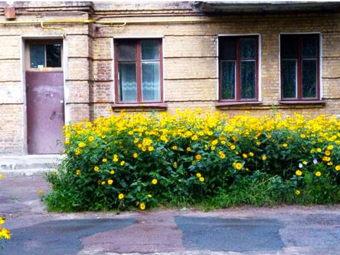 комерційна за адресою Миру просп., 161