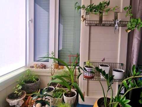 квартира за адресою Кубанської України вул. (Маршала Жукова), 45-А