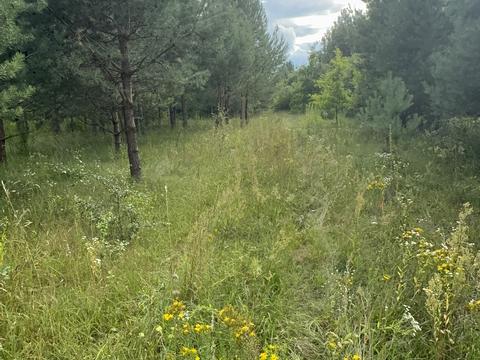 участок по адресу 