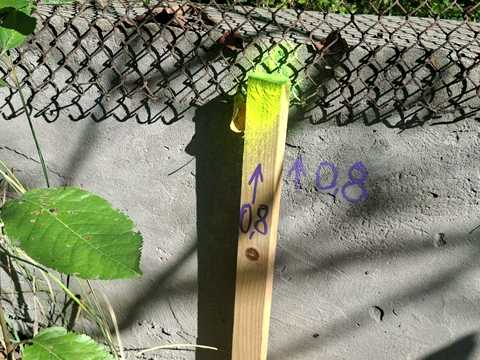 участок по адресу с. Гвоздов, комарова, 13
