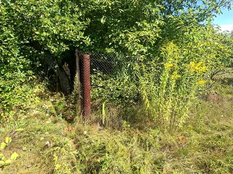 участок по адресу с. Гвоздов, комарова, 13
