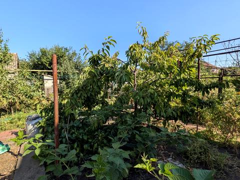 дом по адресу Провулок вантажний, 6