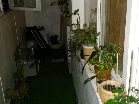 квартира за адресою Гетьмана Павла Скоропадського вул. (Льва Толстого), 22
