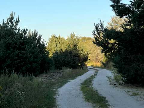 ділянка за адресою с. Бірки, 