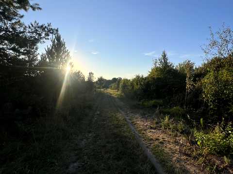 ділянка за адресою с. Бірки, 
