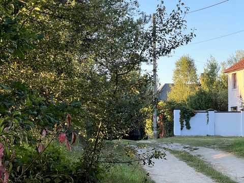 ділянка за адресою с. Бірки, 