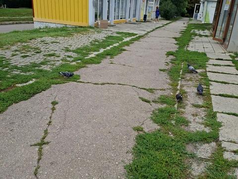 квартира по адресу Монюшка ул., 3а