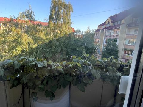 квартира за адресою Ужгород, Володимирська вул., 82