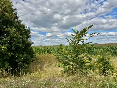 ділянка за адресою 