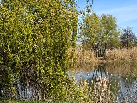 будинок за адресою Озерна вул., 1
