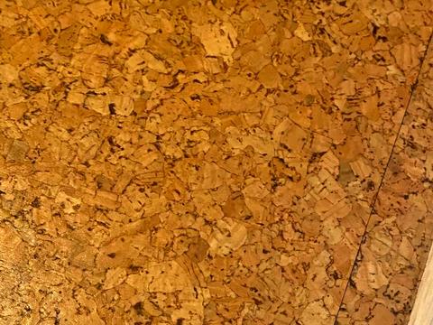 квартира за адресою Велика Діївська вул. (Братів Трофімових), 40