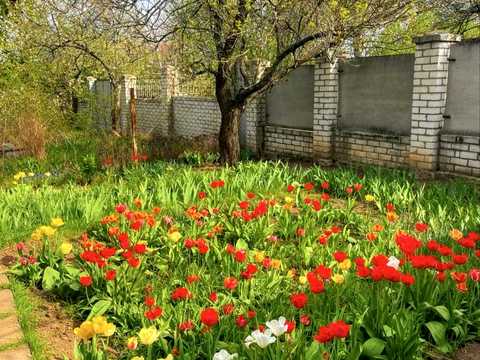 будинок за адресою Рай-Оленівська вул.