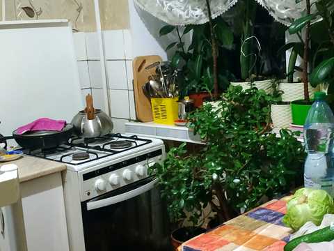 квартира за адресою Конотоп, Братів Лузанів вул., 51