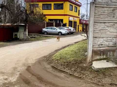 дом по адресу Севанская ул.