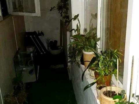 квартира за адресою Гетьмана Павла Скоропадського вул. (Льва Толстого), 22