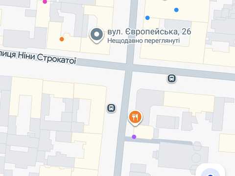 комерційна за адресою Ніни Строкатої вул. (Буніна), 26