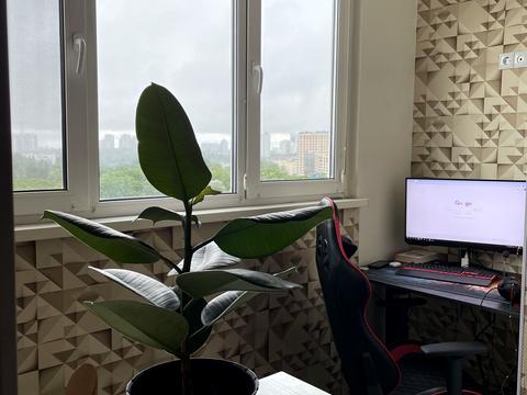 квартира за адресою Олександрівська вул., 1