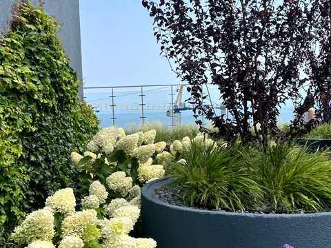 квартира за адресою Курортний пров., 2