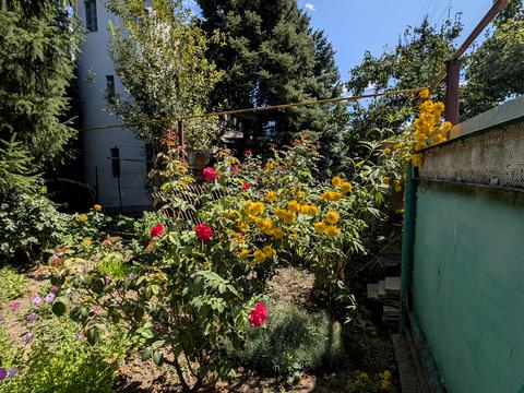 будинок за адресою смт. Кам'яне, Шевченка, 35