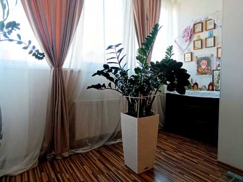 квартира за адресою Старицького вул., 20/1