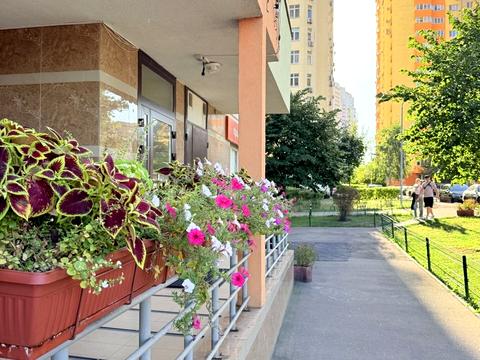 квартира за адресою Сім'ї Кульженків вул. (Петра Дегтяренка), 31-Б
