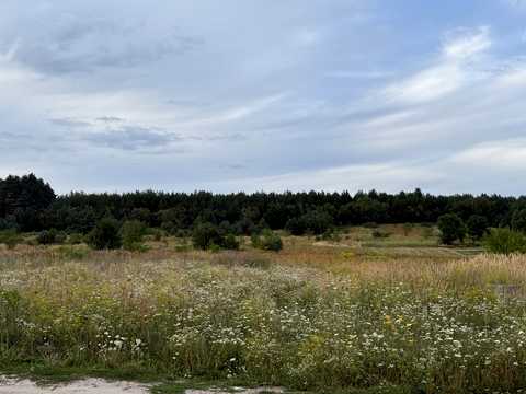 ділянка за адресою с. Бірки, Бічна Львівська