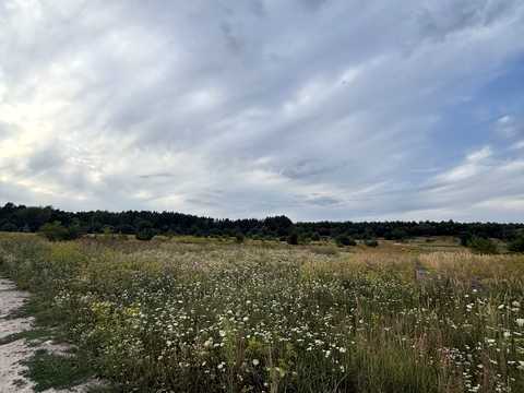ділянка за адресою с. Бірки, Бічна Львівська