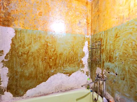 квартира за адресою Єгора Біркуна вул. (Водоп'янова), 8