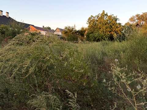 будинок за адресою Культурна вул. (Лейтенанта Шмідта), 53
