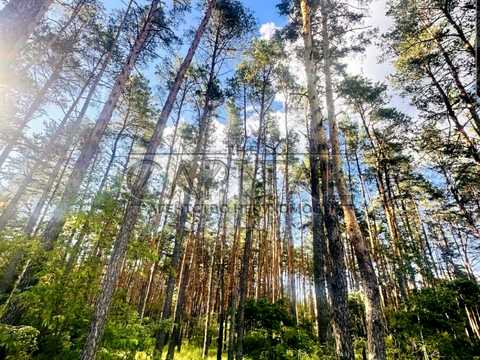 участок по адресу 1