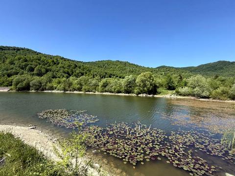 комерційна за адресою Лесі Українки вул., 30