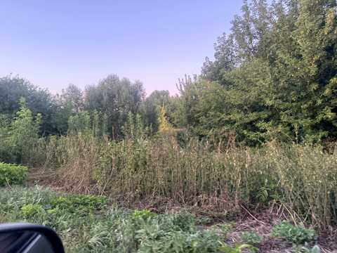 участок по адресу Островського, 6