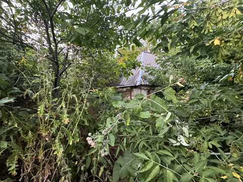 ділянка за адресою с. Городецьке, Островського, 6