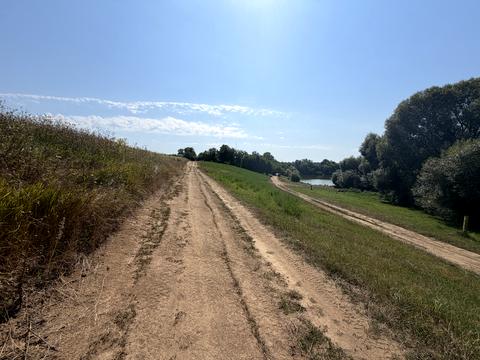 ділянка за адресою Садова