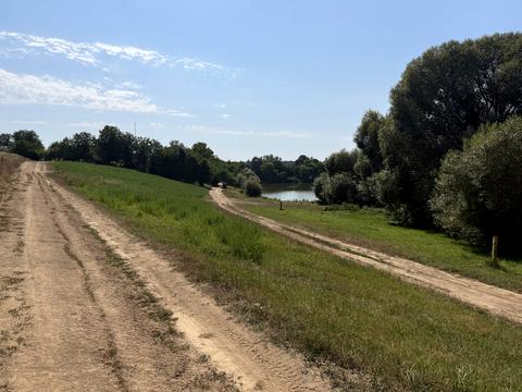 ділянка за адресою Садова