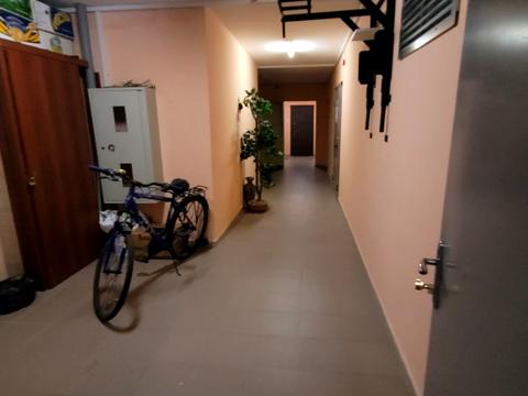 квартира по адресу Кургузова ул., 11-Б