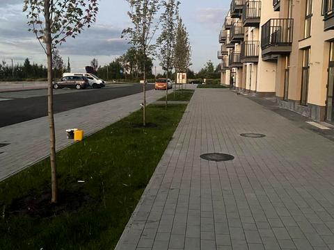 комерційна за адресою с. Басівка, Зелена, 1