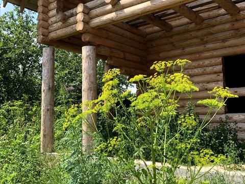 ділянка за адресою Грушевського вул., 50