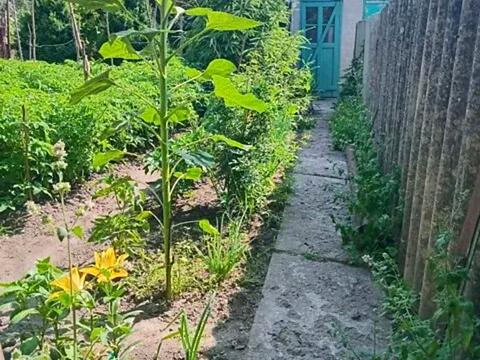 дом по адресу Киевская ул., 16