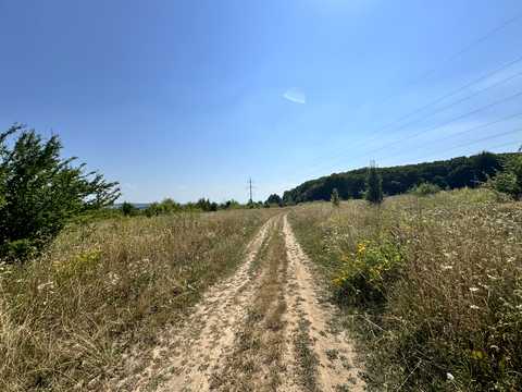 ділянка за адресою с. Лісові Гринівці, 